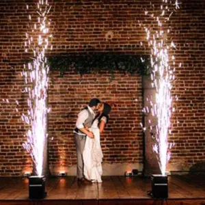 Zipp Professional Sparklers